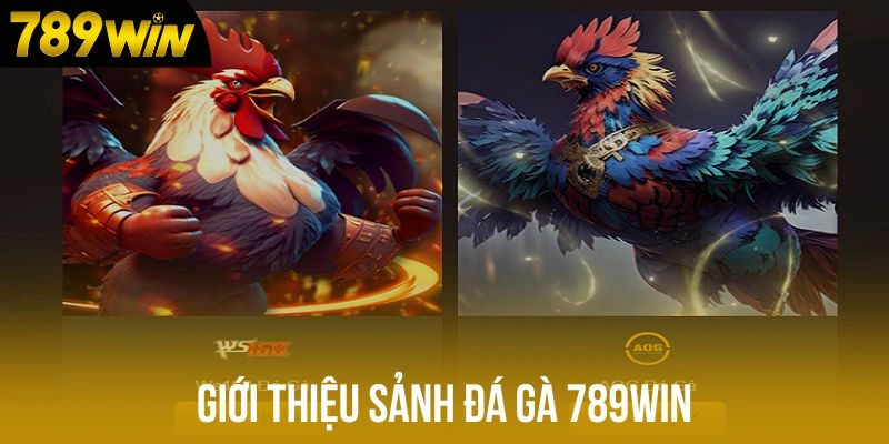 Giới thiệu đá gà 789win Giới thiệu đá gà 789win