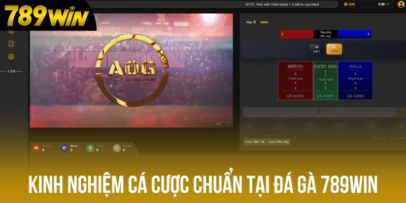 Kinh nghiệm giúp bạn nhanh chóng nâng tầm khi chơi chọi kê Kinh nghiệm giúp bạn nhanh chóng nâng tầm khi chơi chọi kê