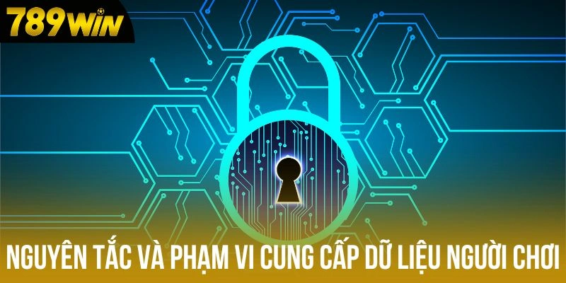 Nguyên tắc và phạm vi cung cấp dữ liệu người chơi