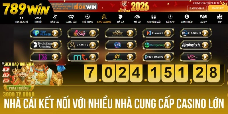 Nhà cái kết nối với nhiều nhà cung cấp casino lớn Nhà cái kết nối với nhiều nhà cung cấp casino lớn