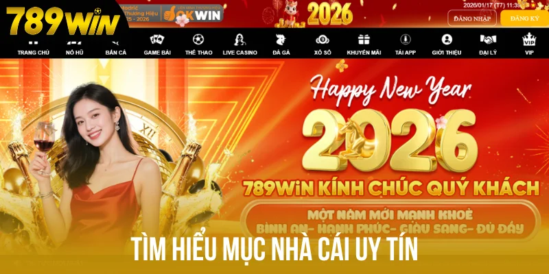 Tìm hiểu mục Nhà cái uy tín