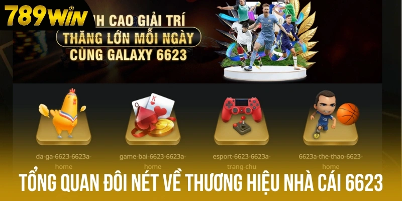 Tổng quan đôi nét về thương hiệu nhà cái 6623 Tổng quan đôi nét về thương hiệu nhà cái 6623